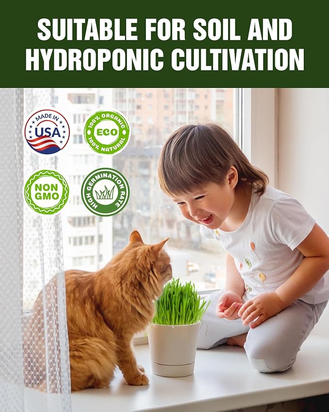Cat Grass & Catnip Seeds Kit - Fast Growing Indoor Cat Grass (3-7 Days),Wheat Oat Barley Pet Grass for Hairball Control & Digestive Health