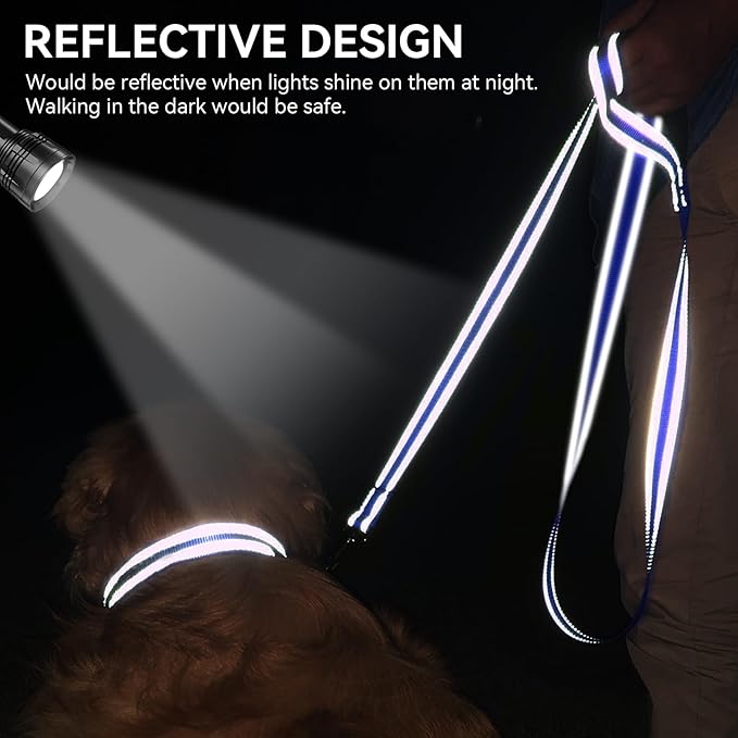 Joytale Dog Leash, 4 FT Double-Sided Reflective, Padded Handle Nylon Heavy Duty Leashes for Medium & Large Dogs Walking, Navy Blue