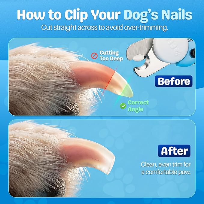 Flexzion Pet Nail Clippers for Dogs & Cats - Stainless Steel Blade Cat Nail Trimmer with Stored Nail File, Safety Guard, Easy Grip Handle - Dog Nail Clippers for Large Dogs, Medium Small Breeds, Blue