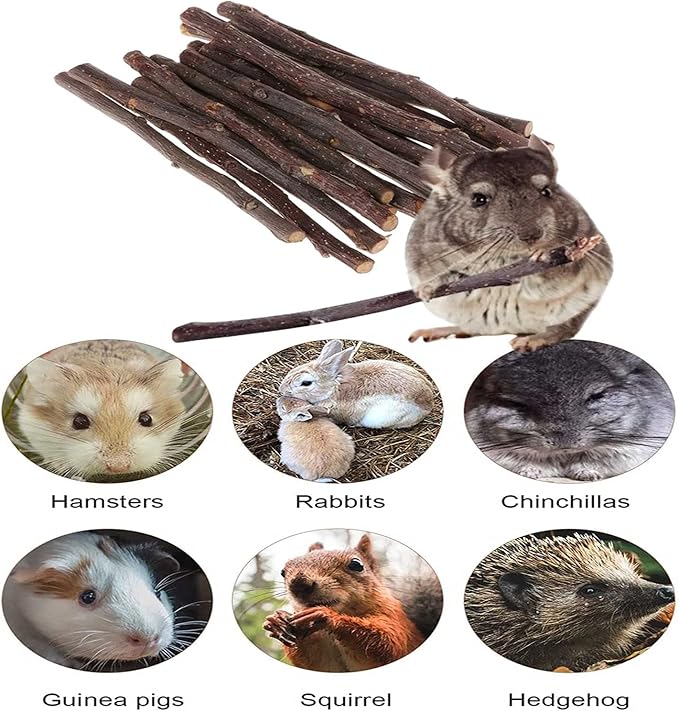 ANDES Natural Apple Sticks 18oz(500g) Small Animals Molar Wood Treats Toys Chinchilla Guinea Pig Hamster Rabbit Gerbil Parrot Bunny and Small Animals Chew Stick Toys Treats