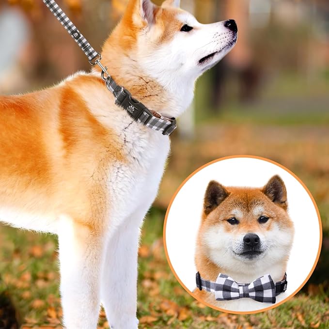 IVY&LANE Dog Collar with Bowtie and Leash Set | Plaid Adjustable Dog Collar | Detachable Bow Tie |5 FT Dog Leash | for Small Medium Large Dogs | Checkered Black | Small
