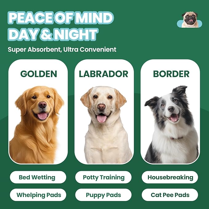 IMMCUTE 50 Pack Dog Pee Pads, 30"x36" Great Value Puppy Pads XL, Pee Pads for Dogs Extra Large, Wee Wee Pads for Potty Training, Disposable Doggie Pads Super Absorbent & Leak-Proof