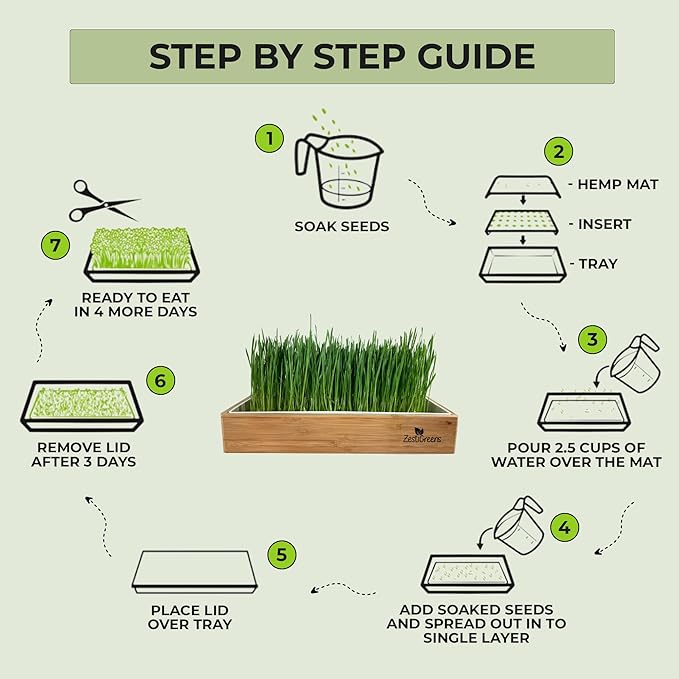 Rabbit Grass Growing Kit – Easy, Self-Watering System for Fresh, Healthy Indoor Greens