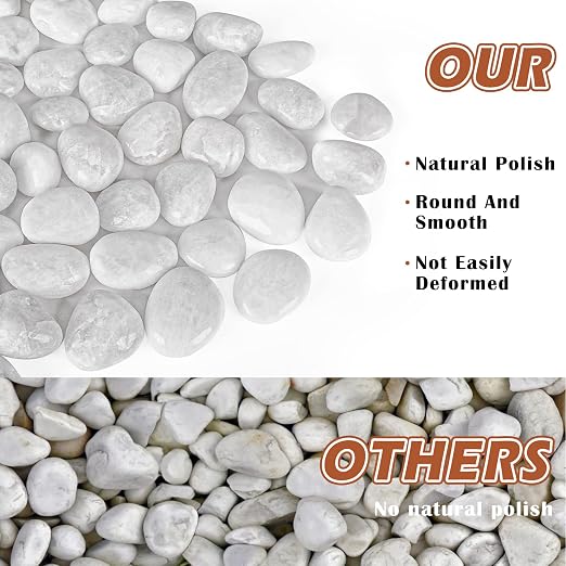 White River Rocks for Plants 5.5 LB Small Decorative Pebbles 1"-1.5" Polished Stones Smooth Aquarium Gravel for Fish Tank Vases Indoor Planters Outdoor Landscaping Garden (88oz)