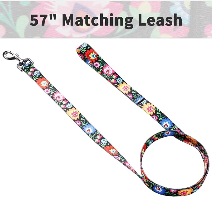 Ihoming Dog Collar and Leash Set for Daily Outdoor Walking Running Training, Black Colorful Flowers Design for Small Boys Girls Dogs Cats Pets, S-Up to 20LBS