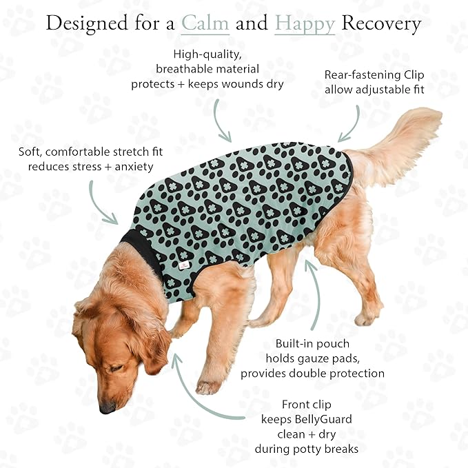 BellyGuard Dog Surgery Recovery Suit, Dog Onesie for Post-Op Care, Recovery Apparel for Female and Male, Surgical Body Cover for Canine Healing Support