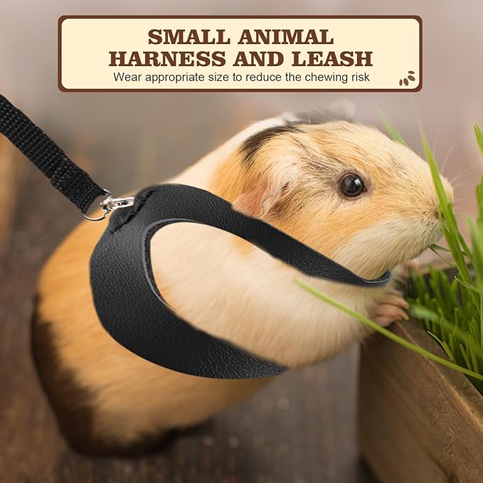 3Pcs Sugar Gilder Harness and Leash Set, Adjustable Squirrel Harness Small Animal Training Walking Vest for Rabbit, Guinea Pigs, Bearded Dragon (Black)