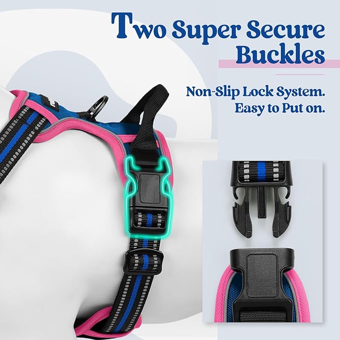 rabbitgoo Dog Harness No Pull with 2 Leash Clips, Adjustable Soft Padded, Reflective Oxford No Choke Pet Vest with Easy Control Handle for Large Dogs, Blue & Hot Pink, S