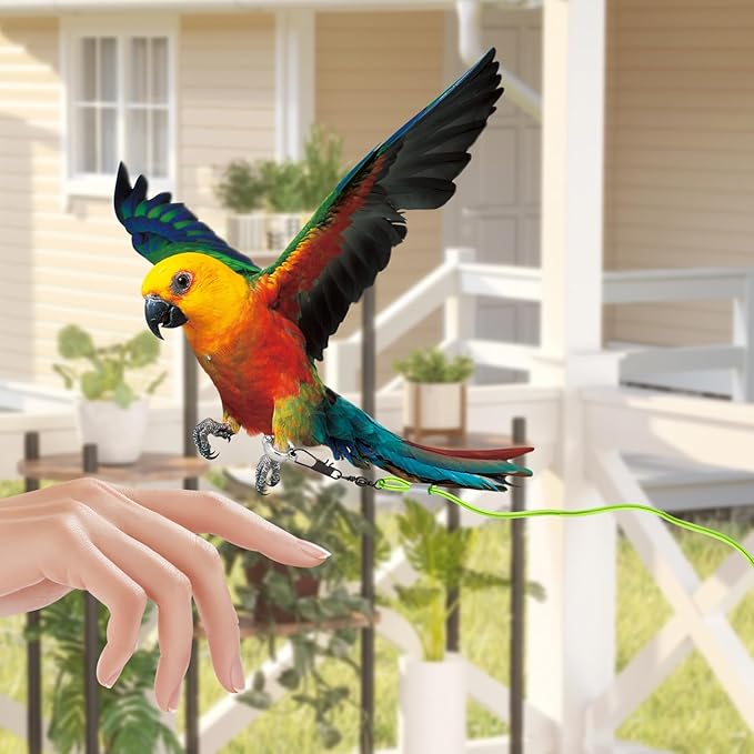 Parrot Flying Leash, 16.4 ft Training Rope with 3 Size Bird Foot Ring, Anti-Bite Elastic String for Cockatiels, Birds, Pigeon (Green)