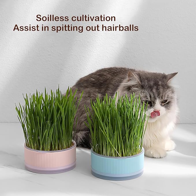 Hydroponic Cats Grass Planter,at Grass Planter(No Seeds Included),Cat Grass Kit for Indoor Cats,Easy to Grow Cat Grasses Growing.(Pink)