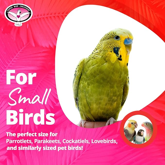 Super Bird Creations SB1216 Cardboard Treat Block - Interactive Chewing and Foraging Bird Toy for Small Birds - Parrotlets, Cockatiels, Parakeet - Encourages Exploration and Physical Exercise