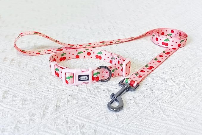 Dog Collar Leash Set, Fruit Pattern, Polyester Material, Adjustable Collar and 5ft Matching Leash, for Puppy Dogs.(XS, Pink Cherry)