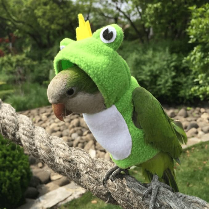 Bird Costume Diaper Flight Suit Frog Shape Hoodie Clothes Cosplay Photo Prop for Parrots Parakeet Cockatiel Sun Conure, Small Animals Apparel (Pink Without Diaper, Small), Green