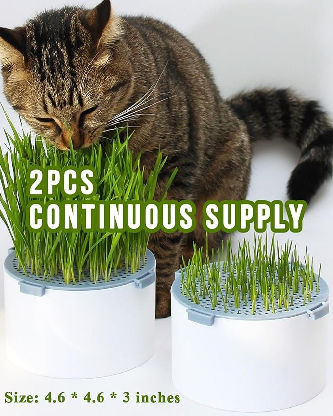 2Pcs Hydroponic Cat Grass Planter (no Seeds Included), Soil Free, Anti Digging, Anti Grass Uprooted, Wheatgrass Growing Kit, Cat Grass for Indoor Cats Pets (2)