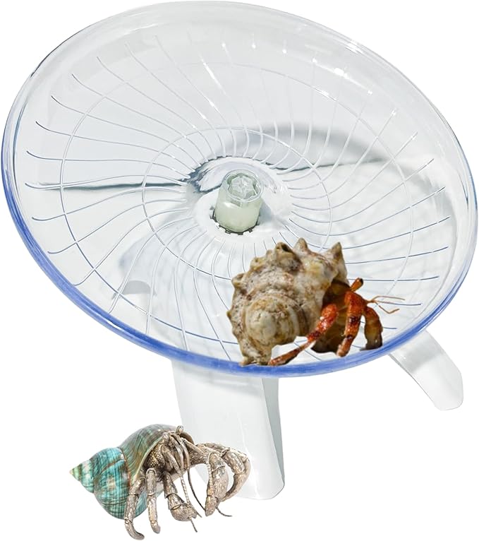 Funny Hermit Crab Running Wheel Climb Toy, Hamster Reptiles Running Flying Wheel Saucer, Cute Running Wheel for Guinea Pig Small Pet Animals Tree Frog Hamster Lizard Salamander Hermit Crab (White)