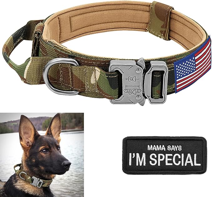 Large Tactical K9 Military Dog Collar - Heavy Duty with Handle, Camo for German Shepherd (Medium, Green Camo)