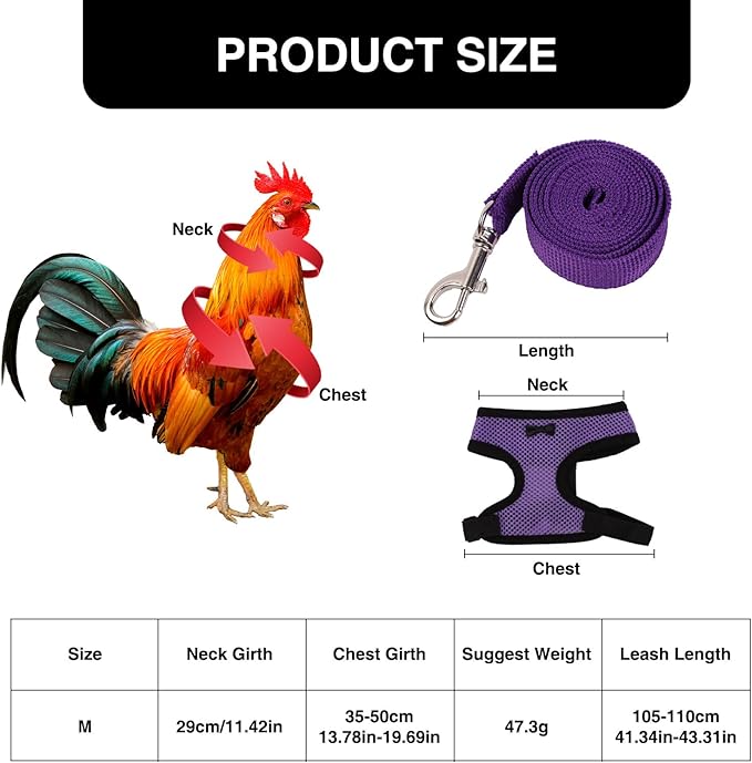 4 Pcs Chicken Harness and Leash, Adjustable Elastic Training Chicken Leash for Hens Duck Goose Pet (Medium)