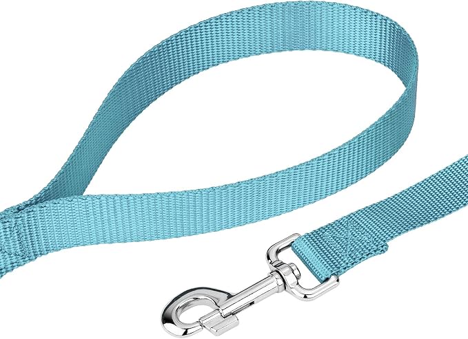 Country Brook Petz - Everyday Nylon Dog Collar and Leash - 10+ Cool Colors (3/4 Inch, Medium, Ocean Blue)