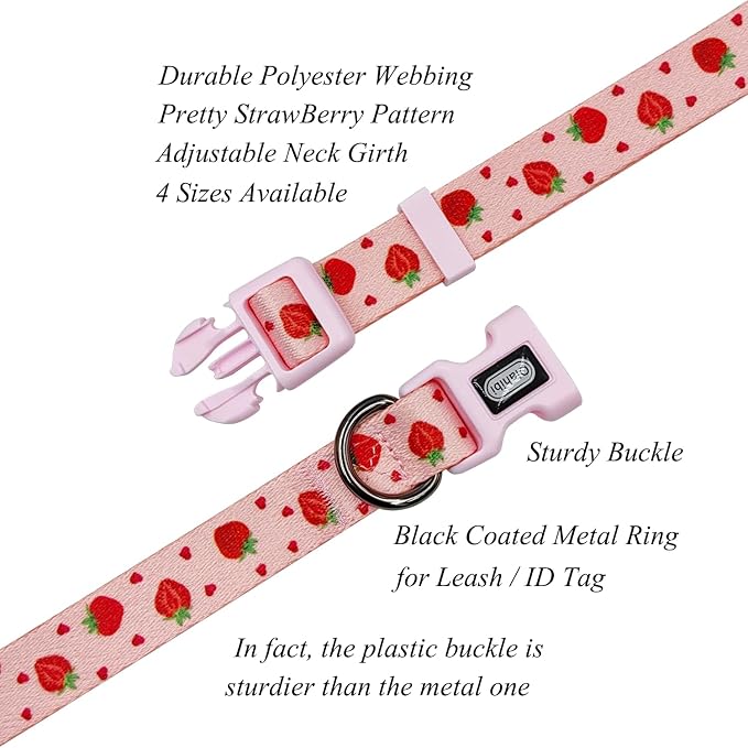 Dog Collar Leash Set, Fruit Pattern, Polyester Material, Adjustable Collar and 5ft Matching Leash, for Medium Dogs.(M, Strawberry)
