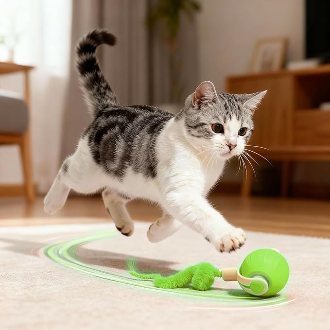 Interactive Cat Toys for Indoor Cats,Automatic Moving Kitten Toys,Cat Toys for Bored Indoor Adult Cats,Smart Rechargeable Cat Enrichment Toys for Small/Medium/Large Cats to Keep Them Busy, Cat Balls