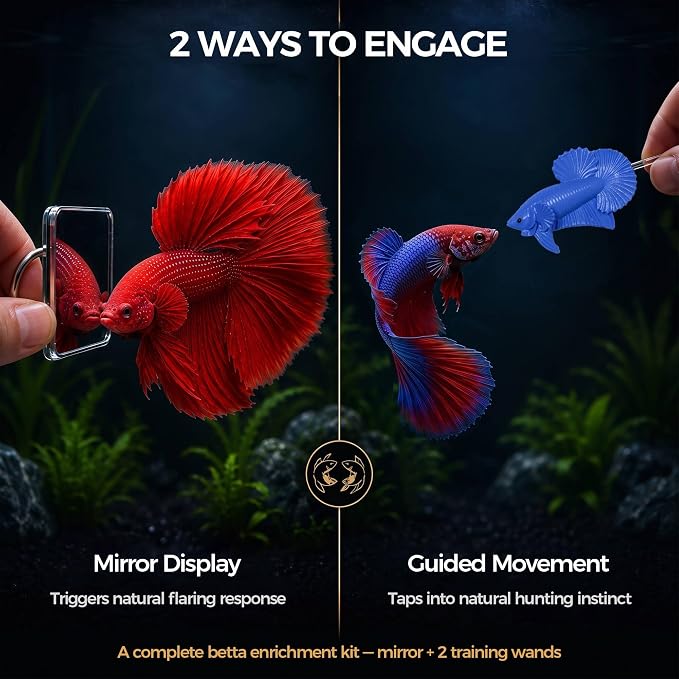 Betta Exercise Kit, Betta Fish Toys, 2 Training Wands and Mirror | Shatterproof acrylic mirror, interactive flaring and enrichment toys, fits any tank or bowl, gift set for betta lovers