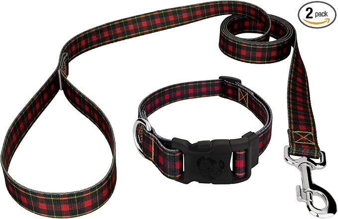 Country Brook Petz - Buffalo Plaid Everyday Dog Collar and Leash - Plaid and Argyle Collection Featuring Charming Designs (1 Inch, Extra Large)