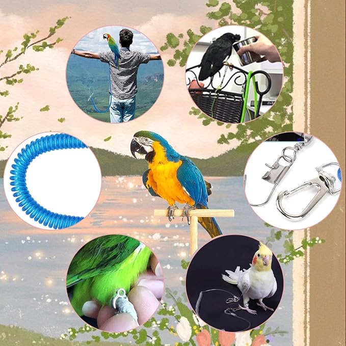 Bird Leash, Anti-Bite Bird Harness Retractable Parrot Flying Rope with 3Pcs Different Sizes of Foot Rings, Elastic String Training Harness Parrot Flight Rope (Blue, 197 Inches)