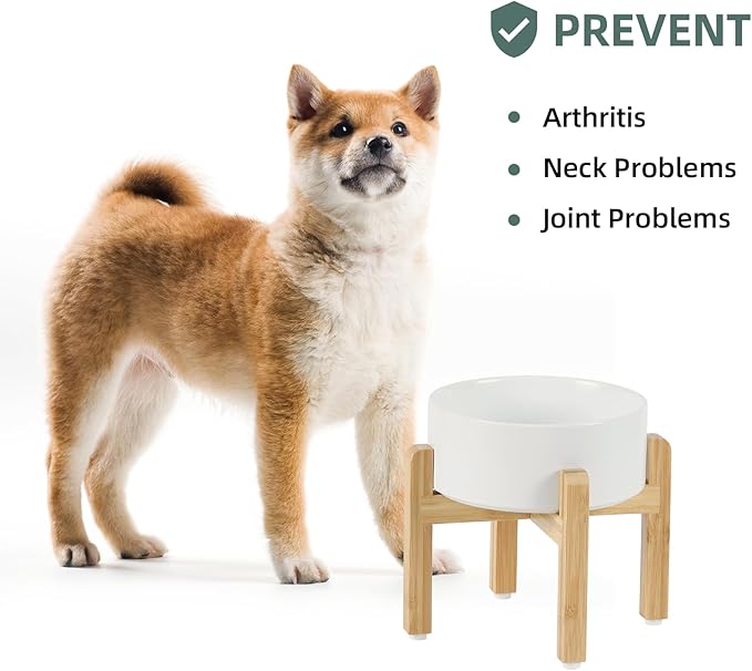 Havniva Ceramic Raised Dog Bowl Set, Elevated with Stand, Food and Water Bowl for Medium Breed Dogs, Weighted Dog Dishes, Pet Bowl(7.3'',41OZ, White)