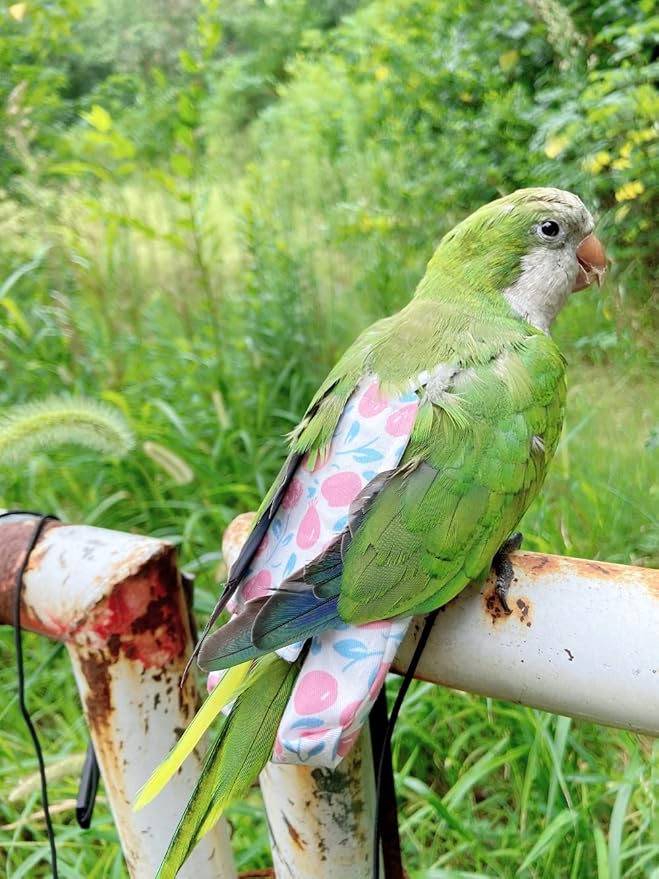 Bird Diaper Harness Flight Suit Clothes, Parrot Flight Suit with Leash, Bird Flying Clothes with Rope and Handle for Outdoor Activities Training (Pink with Leash,Large)