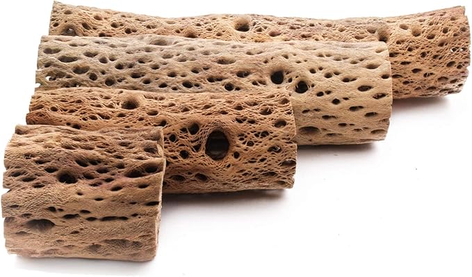 3, 6, 9, 12 Inch All Natural Teddy Bear Cholla Wood Extra Hollow Untreated Organic Aquarium Driftwood Decoration Chew Toy Shrimp Crab Cichlid Nano Tank Birds 1 or 5 Pieces (1 Piece, 12 inch)