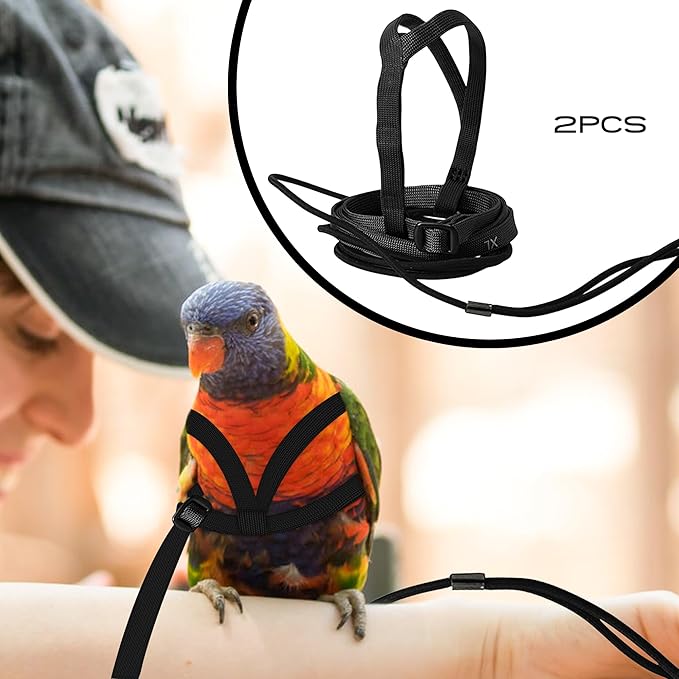 2 pcs Pet Parrot Bird Harness and Leash, Adjustable Training Design Anti-Bite, Outdoor Flying Training Rope Kit for Bird Parrots Fits Birds Chest Between35-62cm /13.78-24.41inch - L (Black)