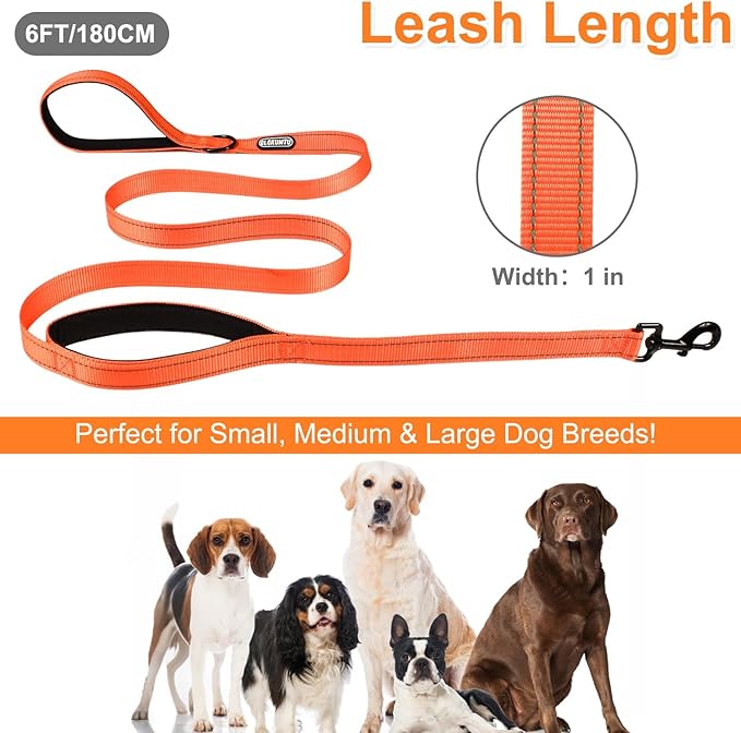 6 FT Heavy Duty Dog Leash with 2 Comfortable Padded Handles, Traffic Handle Extra Control, Highly Reflective Threads Leash for Small/Medium/Large Dogs (Orange)