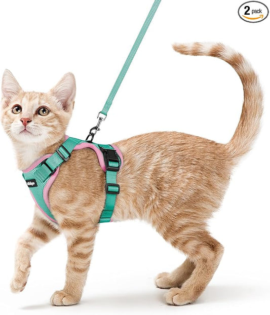 rabbitgoo Cat Harness and Leash for Walking, Escape Proof Soft Adjustable Vest Harnesses for Cats, Easy Control Breathable Reflective Strips Jacket, Green&Pink, XS