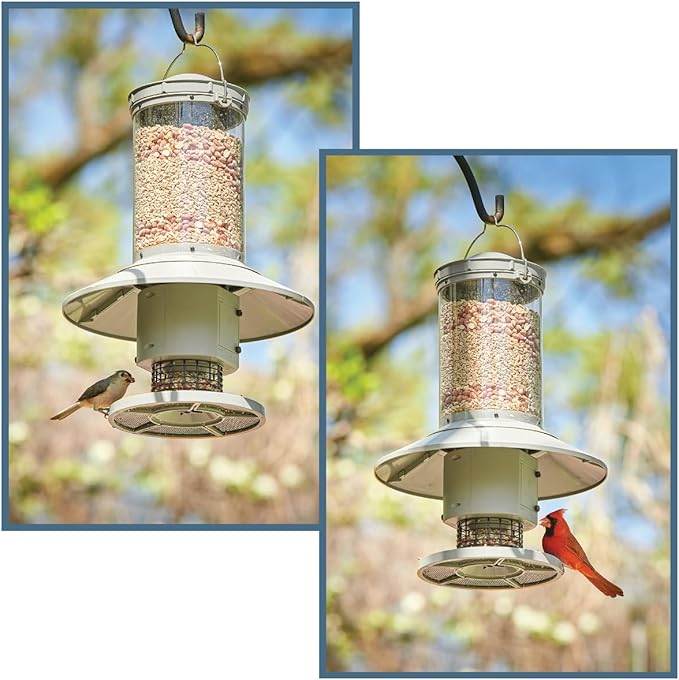 AUTOFEEDER Bird Feeder, Programmable, Automatic Time Released, Battery-Powered, Removable Lid, Squirrel Proof, Weather Resistant, 360 Degree Perch, Large Capacity - Classic Green