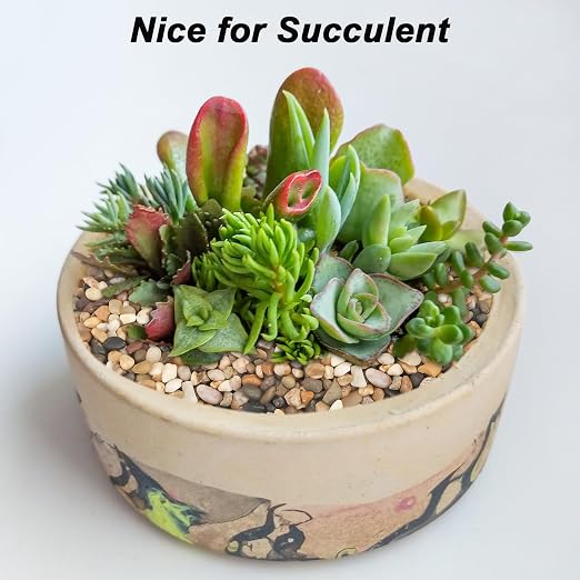 River Rocks, Landscaping Pebbles, Mixed Color Decor Stones, 10 Pounds | Ornamental Gravel Filler For Flower Bed, Fish Tank, Plants, Vases, Succulents, Home & Garden Landscaping Decoration