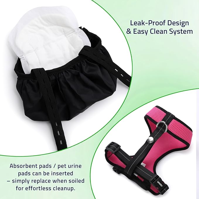 Adjustable Chicken Harness & Diaper with 5.4ft Leash | Escape-Proof Breathable Mesh | Outdoor Walking Training for Hens Ducks & Chicks | Stop Droppings & Feather Mess