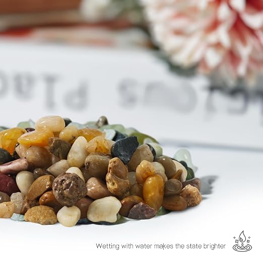 Pebbles for Indoor Plants,River Rocks for Succulent Plants,Aquarium Gravel | 3Lb Decorative Stones Bonsai Garden Pebbles,Succulent Rocks,Small Aquarium Rocks for Landscaping ,Plants,Vase Fillers