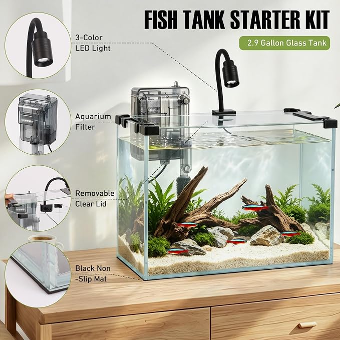 2.9 Gallon Small Glass Fish Tank Kit | Hang on Back Aquarium Filter, 3-Color LED Light, Glass Betta Fish Tank Kit with Removable Clear Lid and Non-Slip Mat