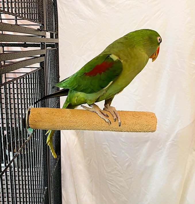 Polly's Pastels Nail Trimming & Beak Conditioning Safety Perch for Cockatiels, Cockatoos, Macaws, Parakeets, Budgies, Parrots and All Other Birds (Brown, Large-1 1/2" Dia. x 9" Long)