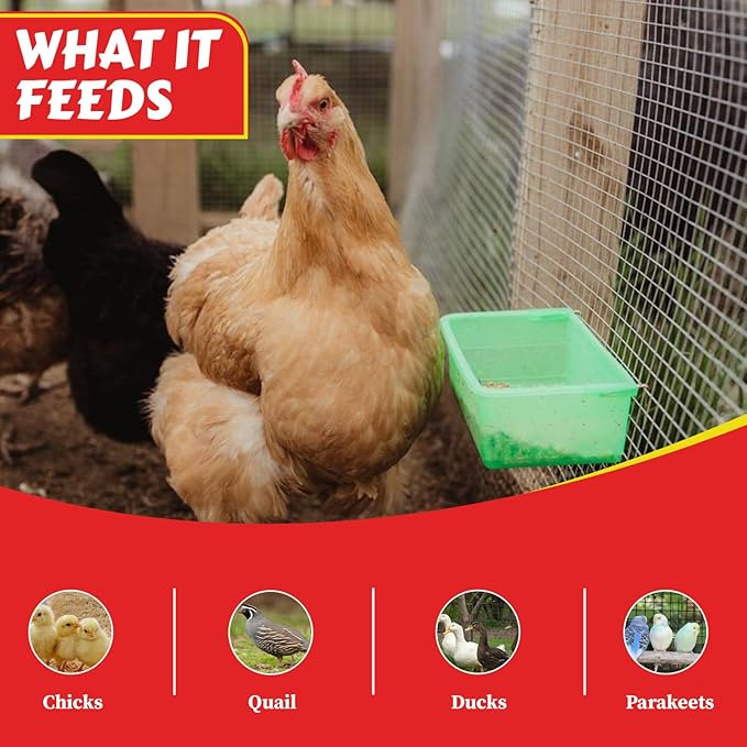 My Favorite Chicken 27oz Chicken Cage Cup – Hanging Chicken Waterer & Feeder for Chick, Duck, Quail, Parakeet – Versatile Poultry Feeder & Bird Cage Water Cups, Green