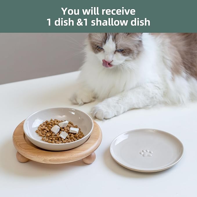 Havniva Elevated Cat Bowls, Ceramic Cat Food Bowl Whisker Friendly Cat Dishes, Kitten Food & Water Bowl with Two Heights Stand, Anti-Slip Raised Cat Food Plates
