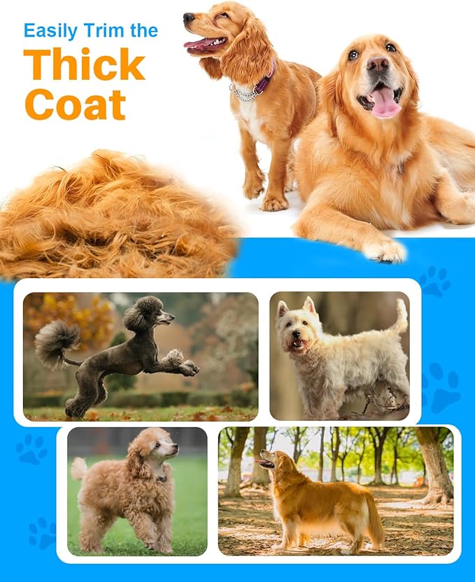 Dog Grooming KIT (SS)