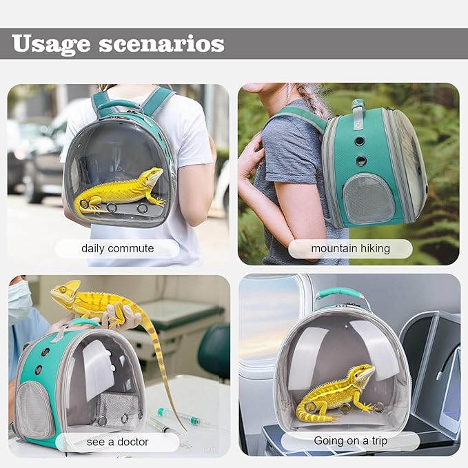 Crested Geckos Backpack Carrier,Reptile Portable Backpack Carrier with Small Backpack Harness Leash Set,Space Capsule Clear Bubble Window Travel Backpack for Lizard Travel,Guinea Pig,Bearded Dragon