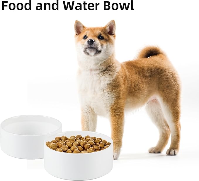 Havniva 6.1” Dog Bowl Ceramic Dog Food and Water Bowl, Durable Dog Water Bowl with Non-Slip Rubber Base Large Capacity Feeding Dishes for Small & Medium Dogs