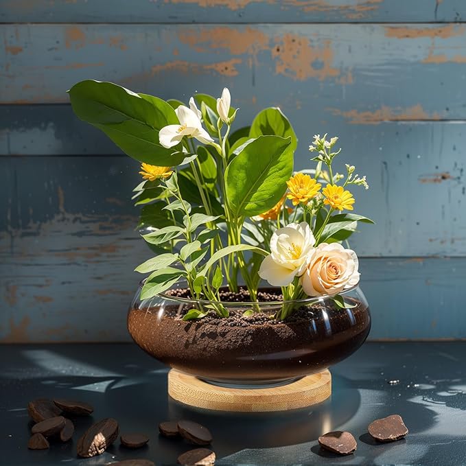 Baderke 4 Sets Glass Planter Bowls for Flowers with Tray 6'' Round Glass Vase Bowl Hydroponic Lotus Planter Pot Propagation Vases Fish Bowl for Plants Indoor Windowsill Kitchen Desktop Wedding Decor
