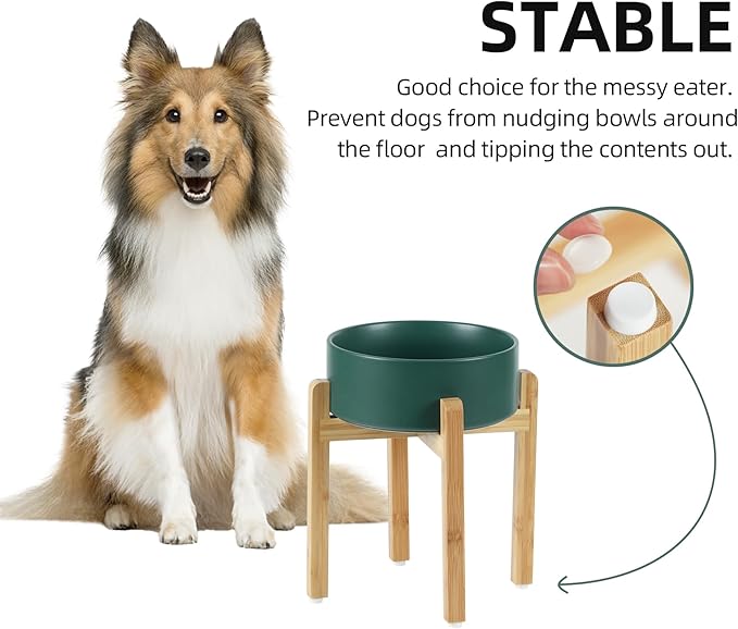 Havniva Ceramic Raised Dog Bowl Set, Elevated Dog Bowl with Stand, Food and Water Bowl for Large Breed Dogs, Weighted Pet Dishes(8.2'',60oz, Green)