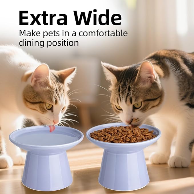 6.2 Inch Extra Wide Elevated Ceramic Cat Bowls, Food and Water Bowl Set for Elder Big Cats Small Dogs, Raised Design for Pet Easy Eating, Protect Cat's Spine Set of 2(Light Purple)