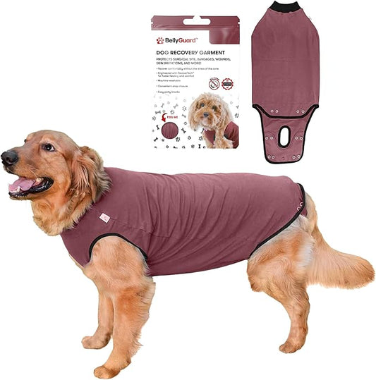 BellyGuard Dog Surgery Recovery Suit, Dog Onesie for Post-Op Care, Recovery Apparel for Female and Male, Surgical Body Cover for Canine Healing Support