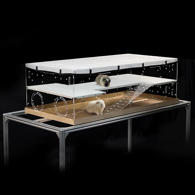 GuineaLoft™ Model-A3Loft Two-Level Acrylic Guinea Pig Cage w/ 2nd Floor Loft, Ramps, Beams & Gauze Lid, Large 4ft(L) x 2ft(W) x 1.3ft(H) Expandable C&C Cage, Works Also for Bunnies, Quails, Hedgehogs