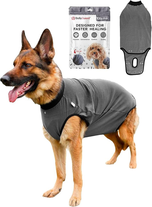 BellyGuard Dog Surgery Recovery Suit, Dog Onesie for Post-Op Care, Recovery Apparel for Female and Male, Surgical Body Cover for Canine Healing Support